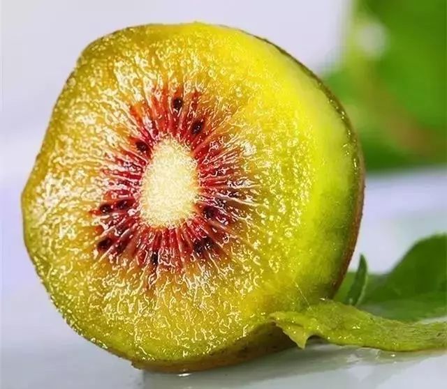 足球赌注软件APP