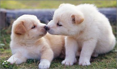 十大足球赌注软件