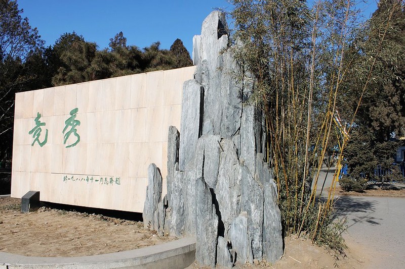 【十大足球赌注软件】对初中化学新课程学生发展性评价的思考和实践(图2) 足球赌注软件