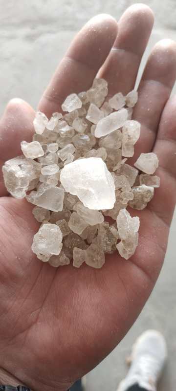 足球赌注软件APP