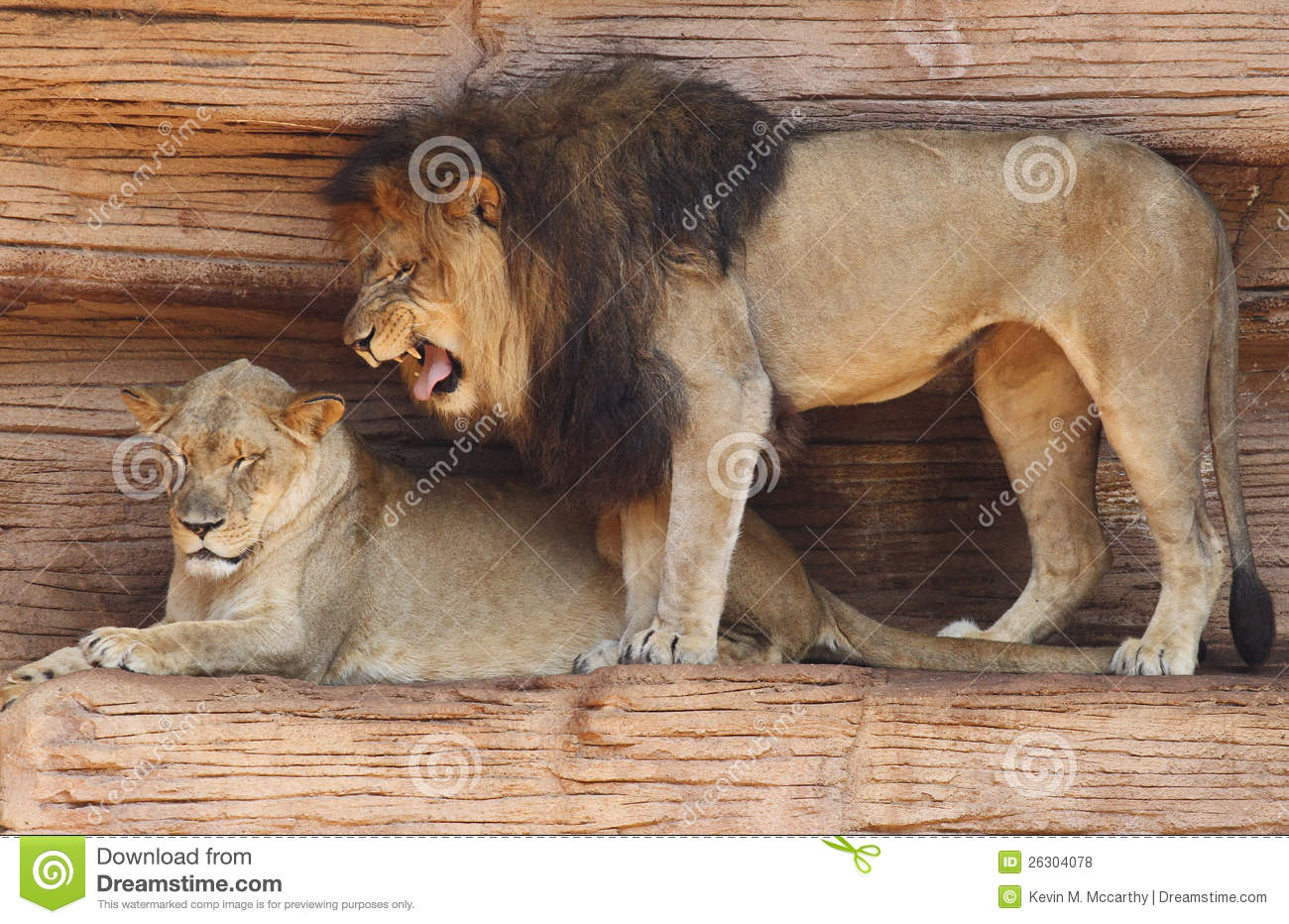 足球赌注软件APP