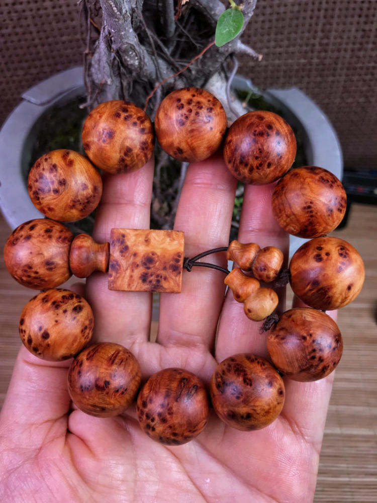 十大足球赌注软件