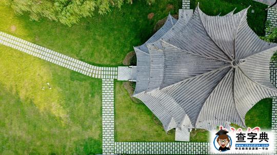 足球赌注软件APP